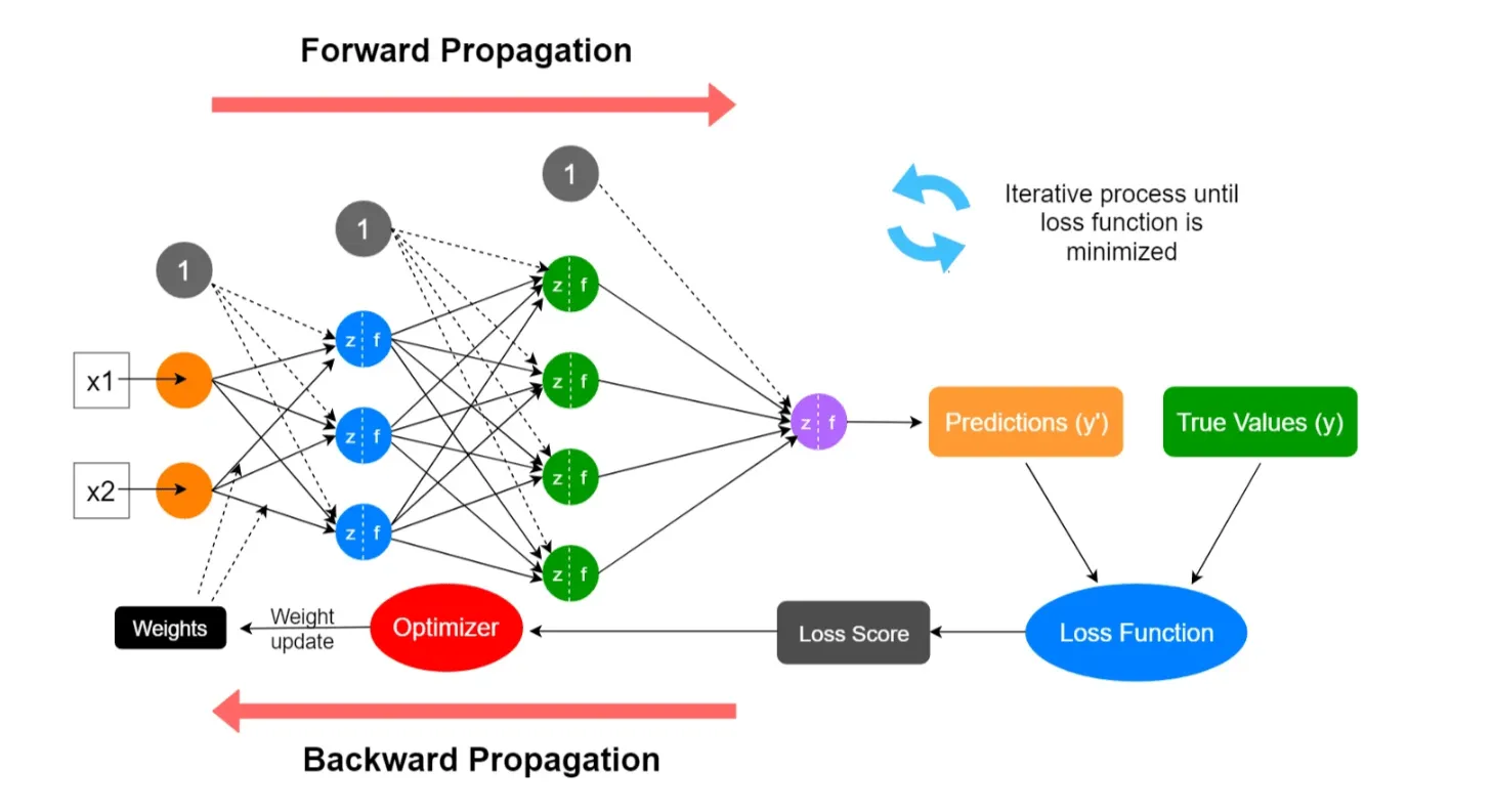 backpropagation